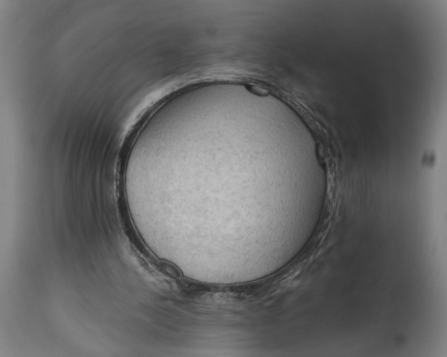 X0000114630244200911101242