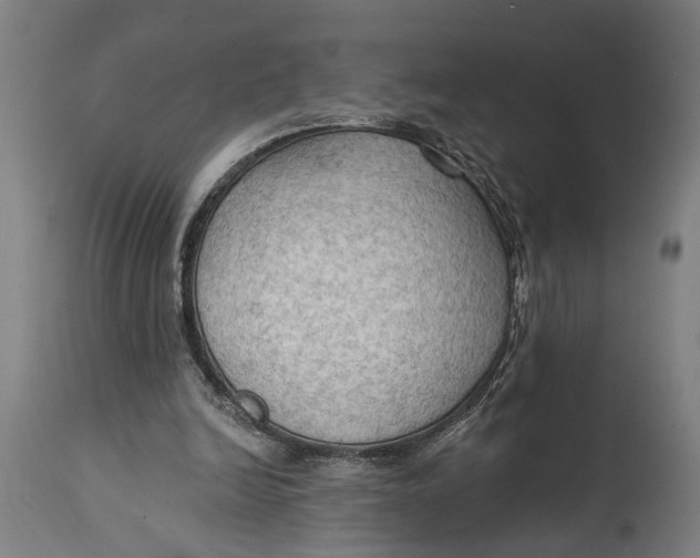 X0000114630246200911101243