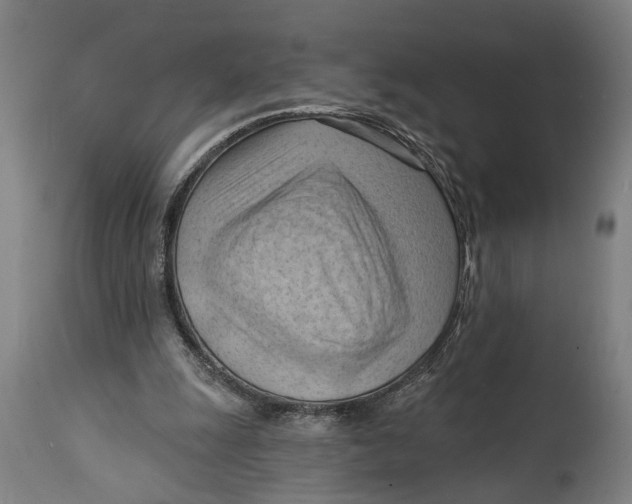 X0000114630247200911101243