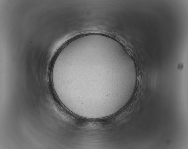 X0000114630248200911101243