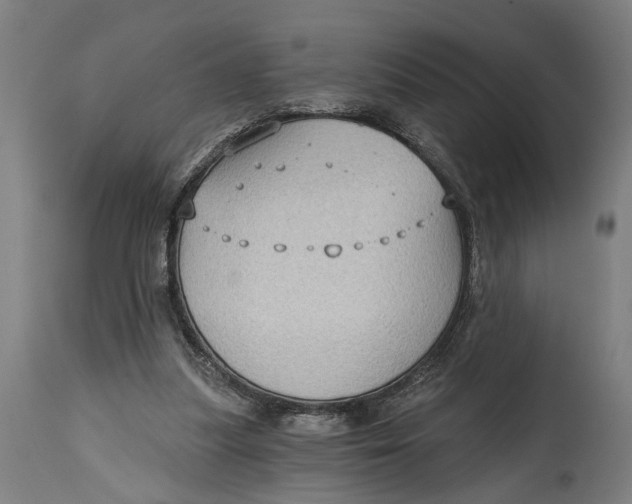 X0000114630251200911101243