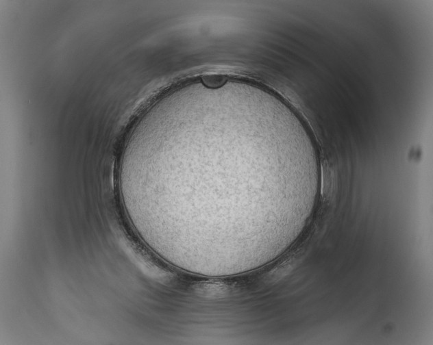 X0000114630253200911101243