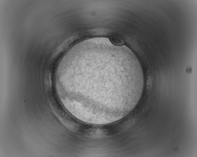 X0000114630254200911101243