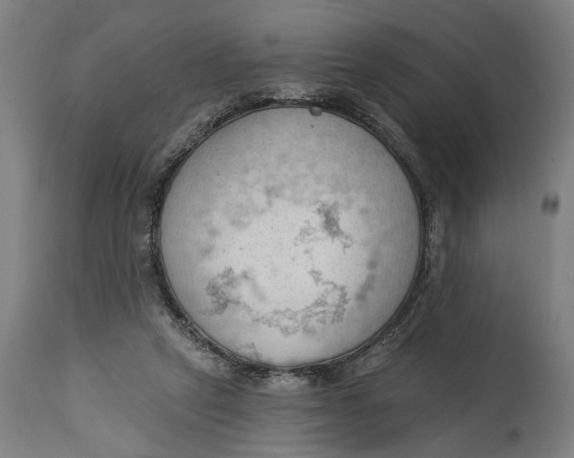 X0000114630257200911101243