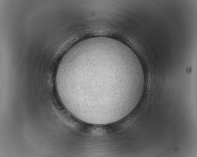 X0000114630258200911101243