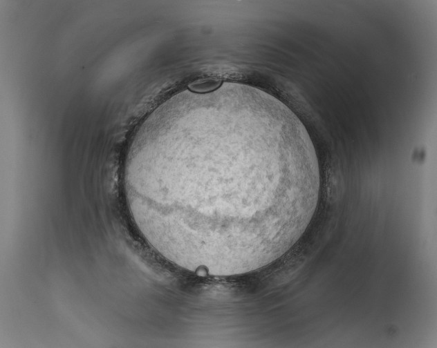 X0000114630259200911101243