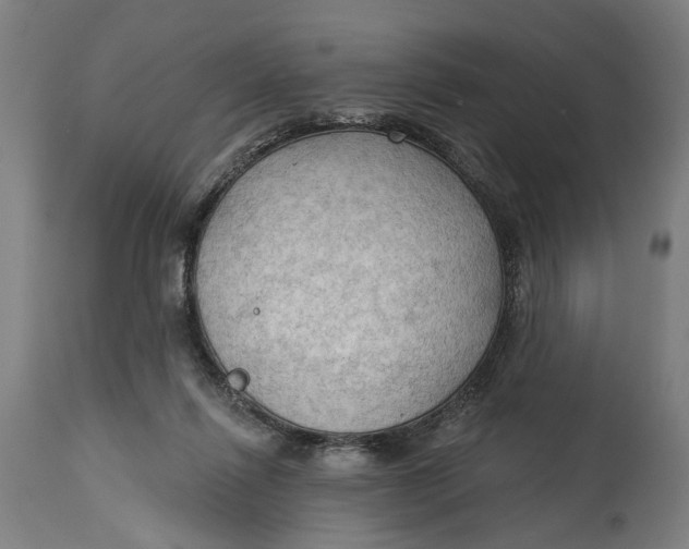 X0000114630262200911101243