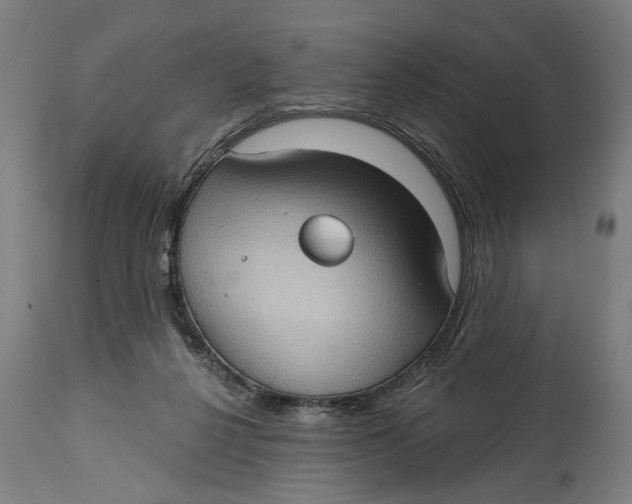 X0000114630264200911101243