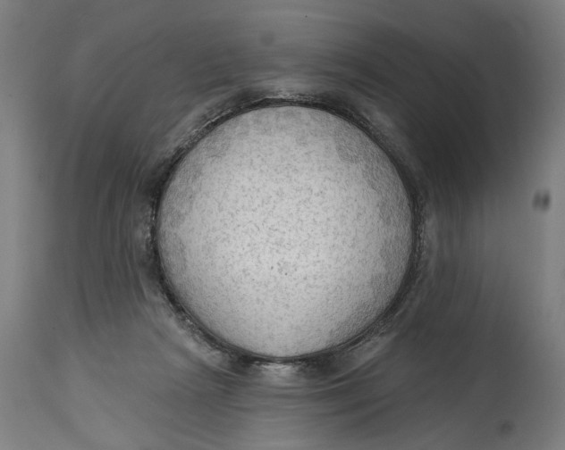 X0000114630265200911101243