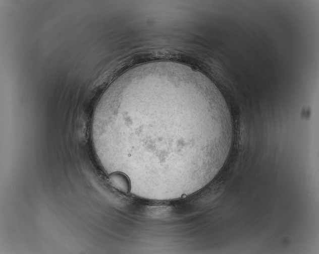 X0000114630266200911101243