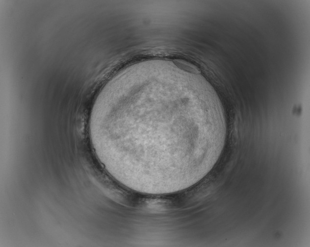 X0000114630268200911101243