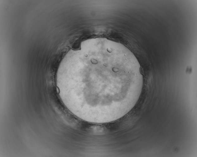 X0000114630272200911101243