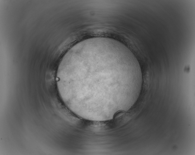 X0000114630278200911101243