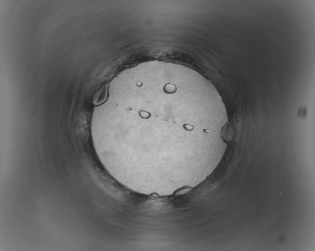 X0000114630280200911101243