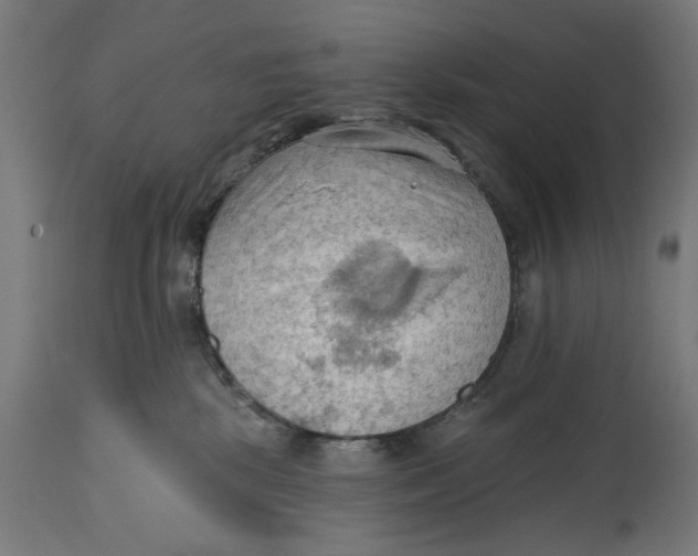 X0000114630281200911101243