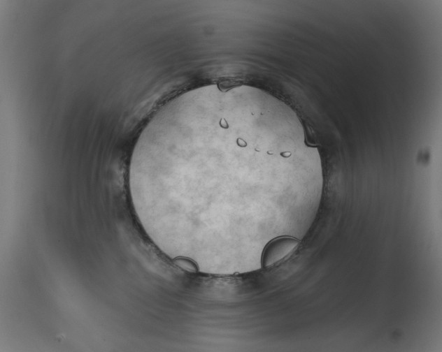 X0000114630282200911101243