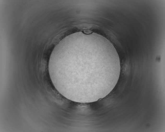 X0000114630283200911101243