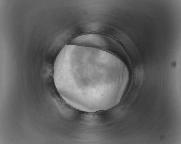 X0000114630284200911101243