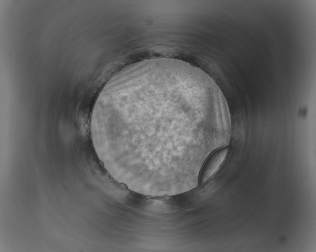 X0000114630285200911101243