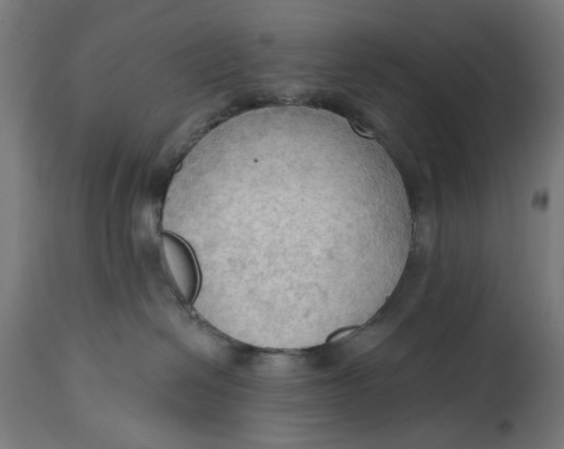 X0000114630286200911101243