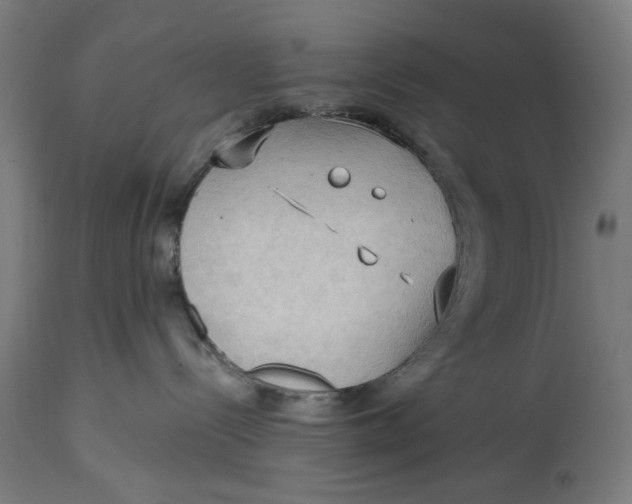 X0000114630288200911101243