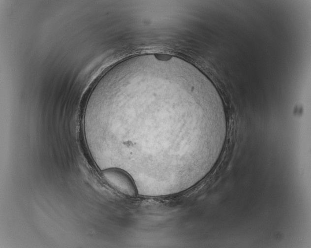 X0000114630290200911101242