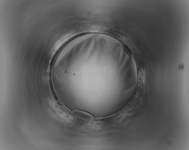 X0000114630292200911101242