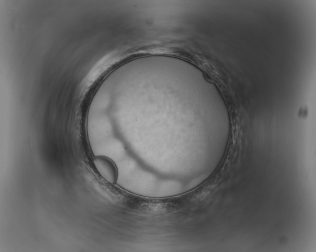 X0000114630295200911101242