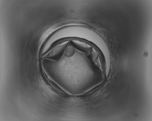 X0000114630296200911101242