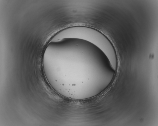 X0000114630297200911101242