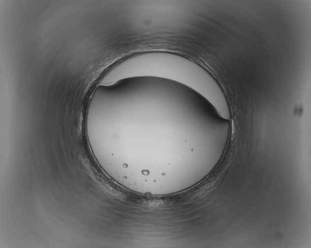 X0000114630301200911101242