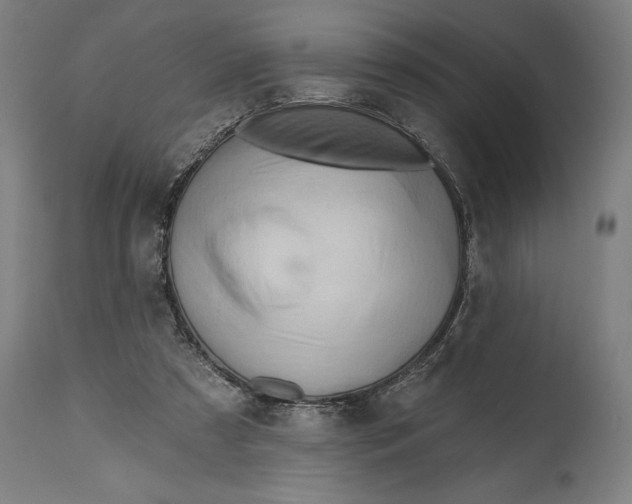 X0000114630305200911101242