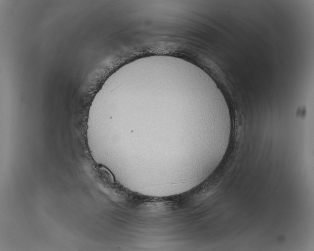 X0000114630307200911101242