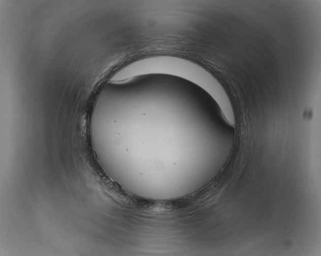 X0000114630308200911101242