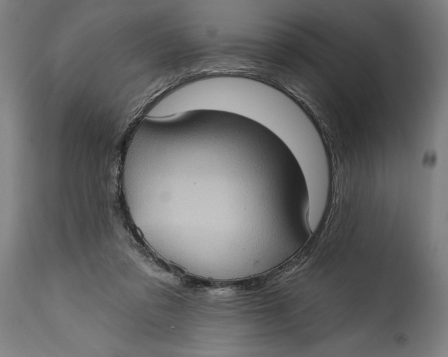 X0000114630309200911101242