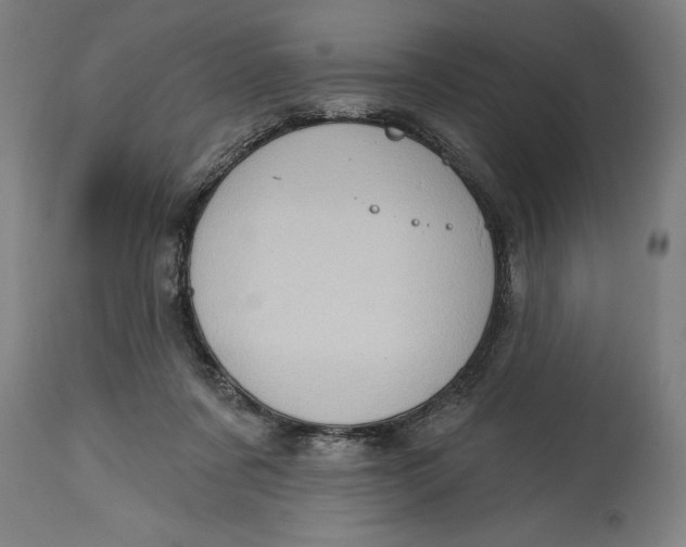 X0000114630311200911101242