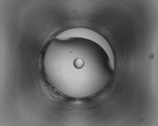 X0000114630312200911101242