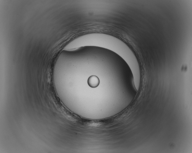 X0000114630313200911101242