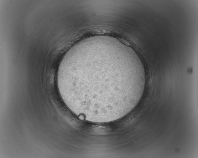 X0000114630315200911101242