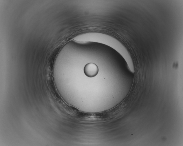 X0000114630316200911101242