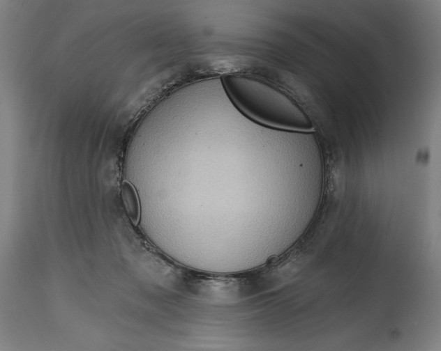 X0000114630317200911101242