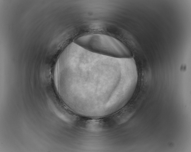 X0000114630320200911101242