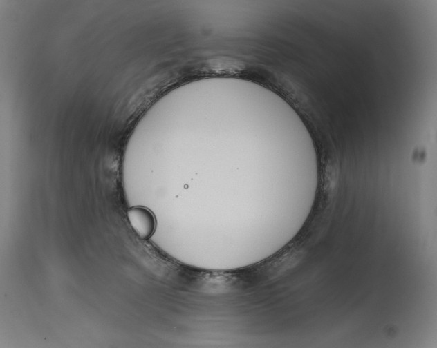 X0000114630321200911101242