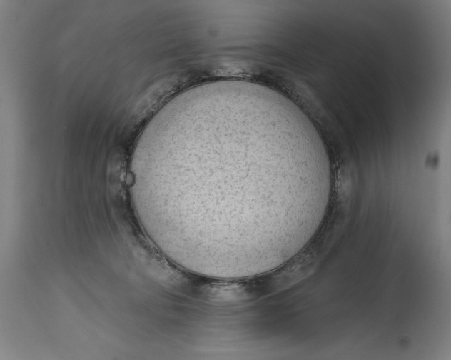 X0000114630322200911101242