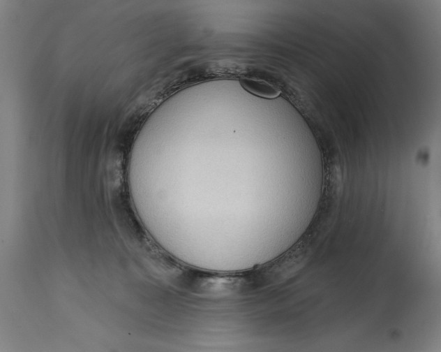 X0000114630323200911101242