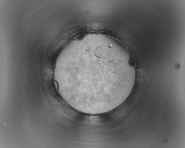 X0000114630324200911101242