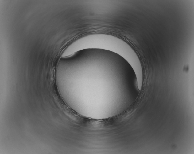 X0000114630325200911101242