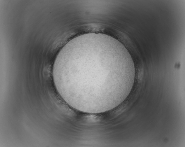 X0000114630326200911101242