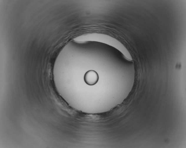 X0000114630328200911101242