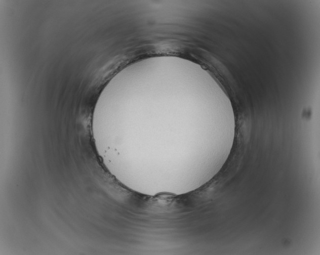 X0000114630329200911101242